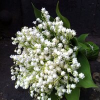 Jens Jakobsen (@jakobsenjens) 's Twitter Profile Photo