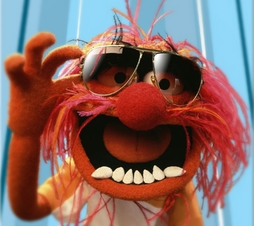 andreisillo's profile picture. 