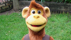 KellieMonkey Profile Picture