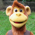 Kellie Balseiro (@kelliemonkey) Twitter profile photo Kellie Balseiro (@kelliemonkey) Twitter profile photo