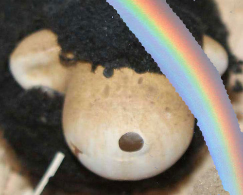 Spötter vor dem Herrn, Schwarzes-Schaf-vom-Niederrhein-Hüsch-Fan und unrettbarer Menschenfreund