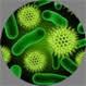 Microbiology_ETH Profile