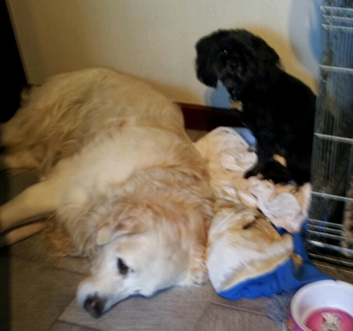 GeorginaRothery's profile picture. 