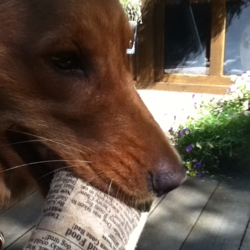 may_n_e's profile picture. #ShePersisted❄️