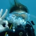 Elena Antonova - @AHTOHOBA - Twitter