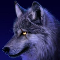 Elesbão Obom (@elesbaoobom) 's Twitter Profile