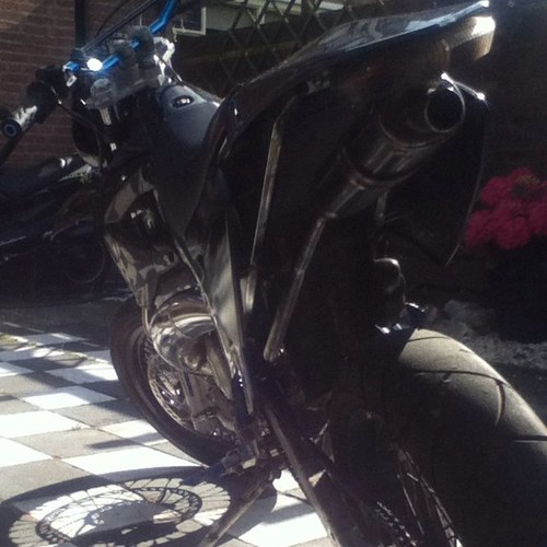 Robinhartgers's profile picture. 