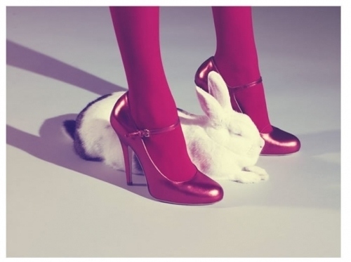 clouded's profile picture. Human. Female. Atheist. Feminist. I love music, books, films, chocolate, striped socks.