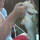 Dylan free - @BackwoodsFree - Twitter