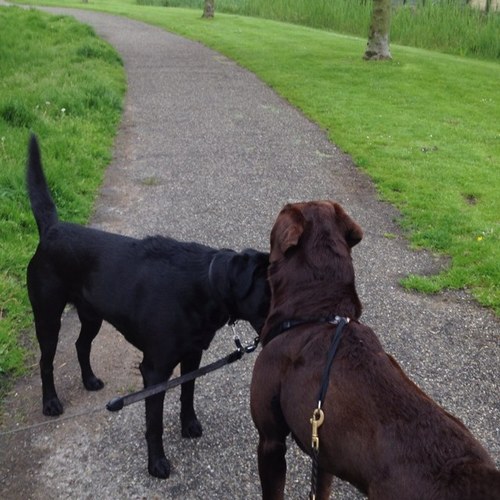 HeleenHeleenvv's profile picture. 