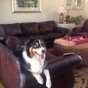 Dixie Mitchell - @loladixie - Twitter