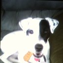 Casey Bade - @cab1046 - Twitter