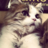 appi1116's profile image