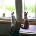 Mary-Jane Ling - @MaryJaneLing - Twitter