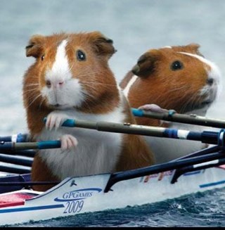 crew_kat's profile picture. 