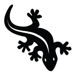 the_salamanders's profile picture. Liverpool Band The Salamanders home on Twitter. Stay tuned for gig updates and random thoughts