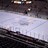 RedWingsOne's profile image