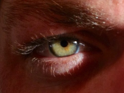 NicholasScott3's profile picture. 