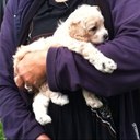 ellen gallo - @lngall - Twitter