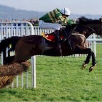 chris Hoops mc ilfatrick (@chrismac184) 's Twitter Profile