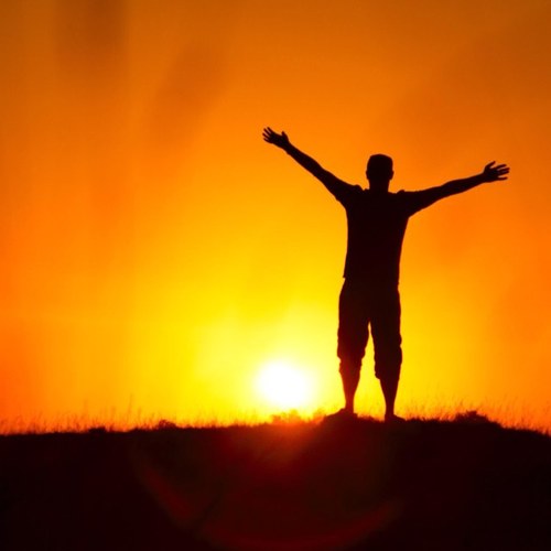 Tossdyr's profile picture. 