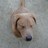 cbj206c16's profile image