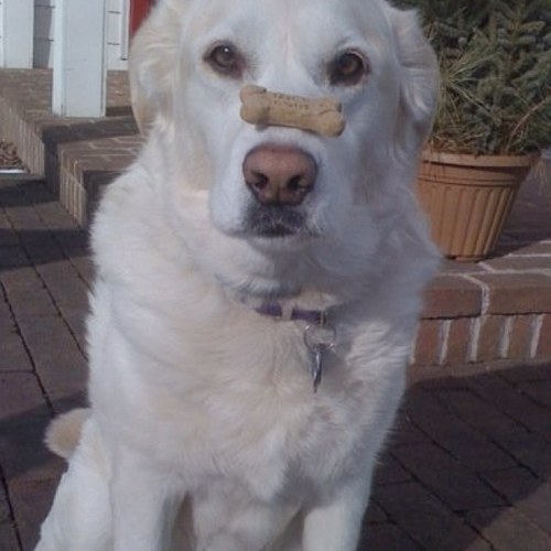 breezypointroad's profile picture. 