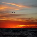 Sheila Floyd - @sheilakayfloyd - Twitter