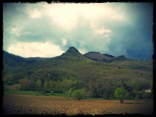 aseques's profile picture. Informàtica, linux, mac i llengua