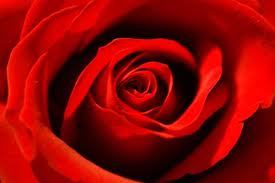 magda_lyn's profile picture. Passionate about spirituality, Jung, the Sacred Feminine. Psychotherapist, workshops on the Sacred Feminine, dream work