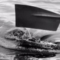 Thoughts of a Rower (@rowerthoughts) 's Twitter Profile