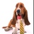 knowleb.bsky.social (@knowleb) Twitter profile photo