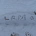 Lama (@lfalyami) Twitter profile photo Lama (@lfalyami) Twitter profile photo