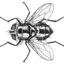 Paula Paradise - @Holy_Paula - Twitter