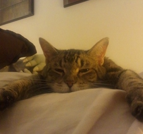 This dirty pussy is sassy and single. *lick* ♥420 #atheist #prrr