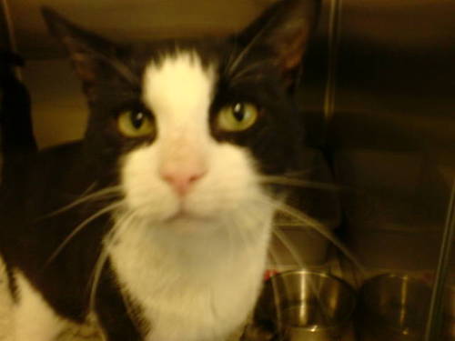 Bebababe01's profile picture. 