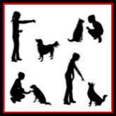 Training your puppy or dog can be challenging. Learn how you can teach your dog to be obedient from the comfort of your own home. Get started now!