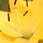 SMSM_M0's profile image