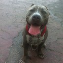 Ralph bishop - @meekimakhila1 - Twitter