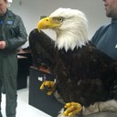 Chase Dale - @ChaseDale2 - Twitter