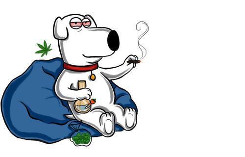 cindy_sperry's profile picture. Slightly psychotic, Hippie sports addict.