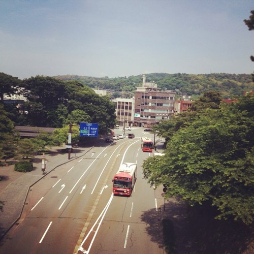 sunrise11sss's profile picture. punks at 茨城