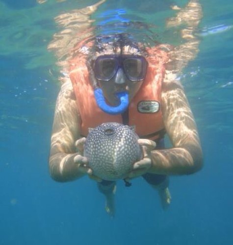 INFICULICHI's profile picture. Donde el destino nos lleve