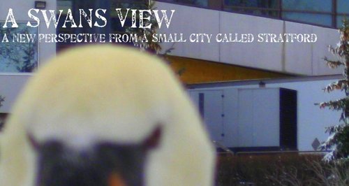 Dirt level info from bars, diners, theatres,farms and streets of Stratford!