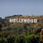 hollywoodmule's profile image