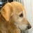 jjmiki55's profile image