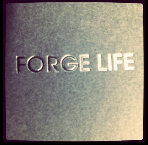 dave_forgelife's profile picture. Bespoke Personal Training & Image Consultancy based in Docklands, Canary Wharf, Shoreditch & East London, England info@forgelife.co.uk
