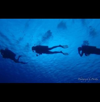 PWilson67's profile picture. this is not a dress rehearsal