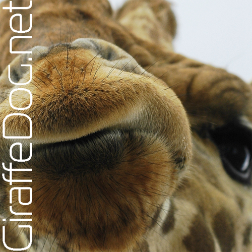 @GiraffeDog