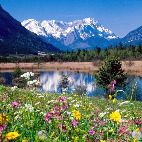 MohaHazazi's profile picture. 